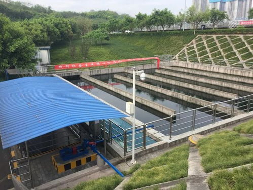 環保設施向公眾開放丨走進重慶兩江新區九曲河污水處理廠 防洪除澇設施的智慧與擔當