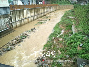 龍崗區河道管養三標段項目6月22日河道防汛工作總結