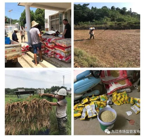 恪盡職守筑牢防線，市市場監管局持續抓好防汛抗洪與市場監管工作