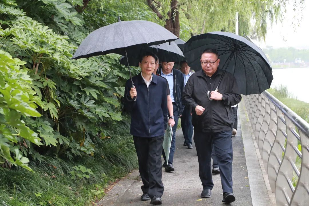 壓實責任筑牢防線 守護城市安全底色——閔行區領導開展防汛檢查及巡河、巡林工作紀實