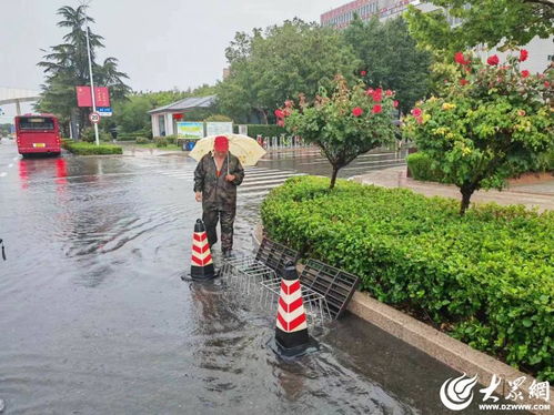 濰坊全市城管系統以雨為令 聞汛而動筑牢防洪排澇安全線